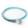 12 Fibers LC/UPC 50/125 Multimode OM3 Bunch Fiber Optic Pigtail